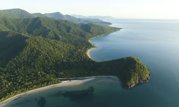 Daintree Rainforest Deluxe Day Tour with Lunch - For 2