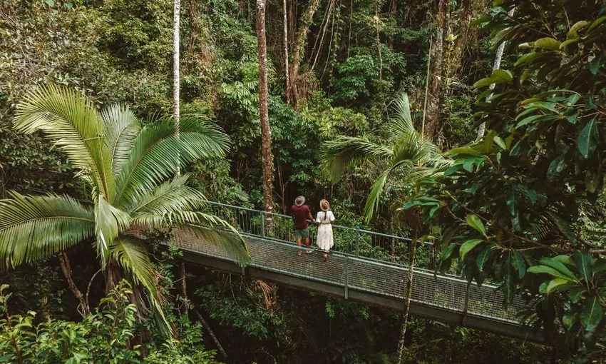 Daintree Deluxe Day Tour with Lunch - For 2 | Experience Oz