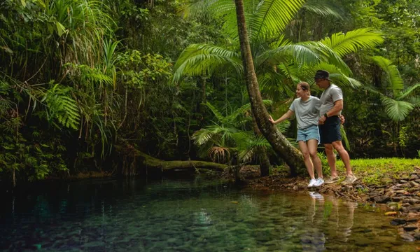 Daintree Rainforest Deluxe Day Tour with Lunch - For 2