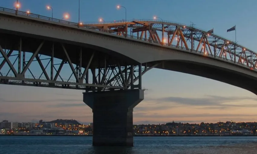Auckland Harbour Cruise with Wine & Cheese | Experience Oz + NZ