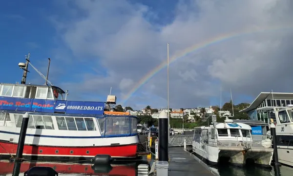 Auckland Harbour Cruise with Wine & Cheese - 90 Minutes