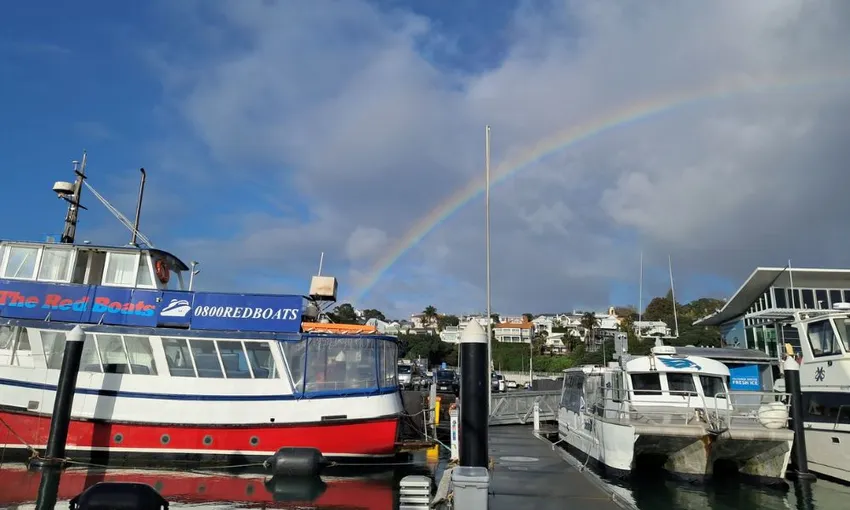 Auckland Harbour Cruise with Wine & Cheese | Experience Oz + NZ