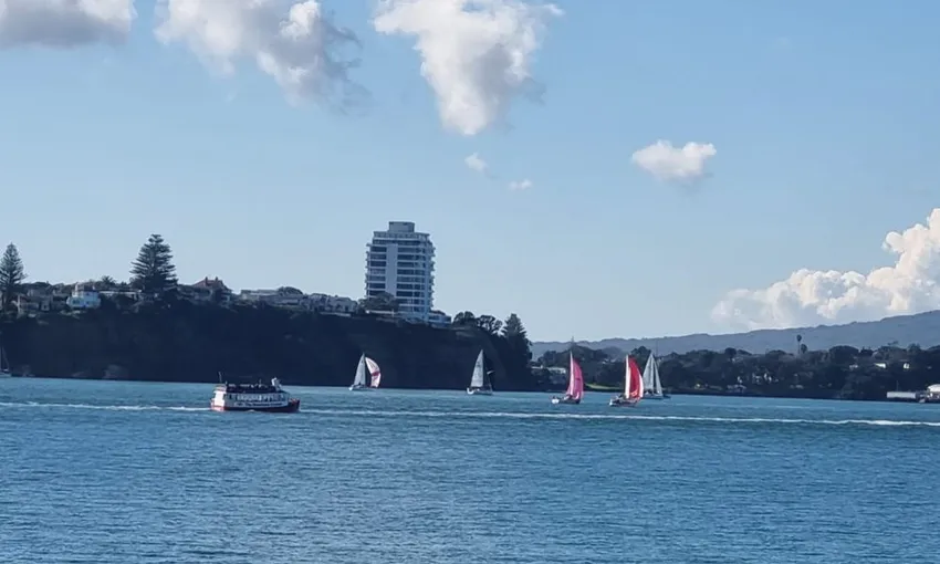 Auckland Harbour Cruise with Commentary | Experience Oz + NZ