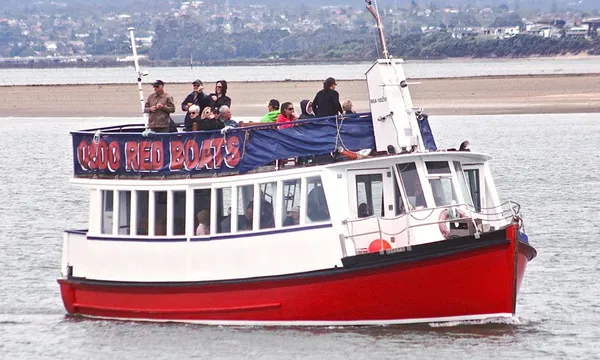 Auckland Harbour Nightlight Cruise - 2 Hours