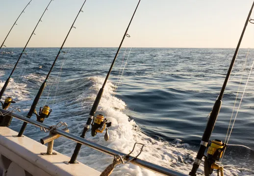 Auckland Hauraki Gulf Evening Fishing Charter - 4.5 Hours
