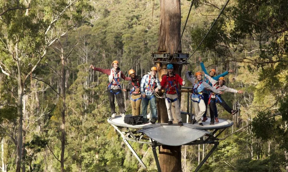 Hollybank Treetops Daytime Adventure Tour Launceston | Experience Oz-3