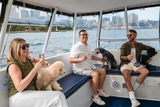 Sydney Harbour Scenic Dog Friendly Cruise - 1 Hour