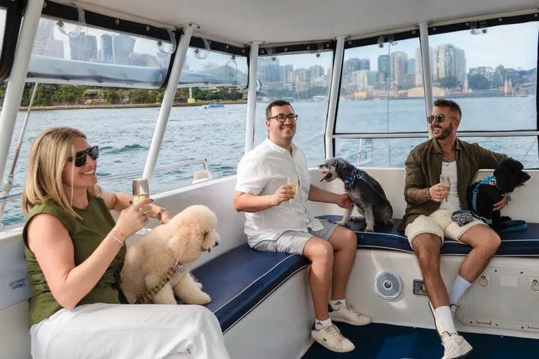 Sydney Harbour Dog Friendly Cruise - 1 Hour | Experience Oz