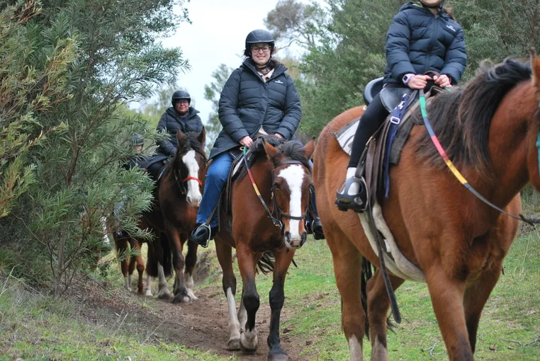 Mornington Peninsula Horse Ride & Wine Tasting | Experience Oz