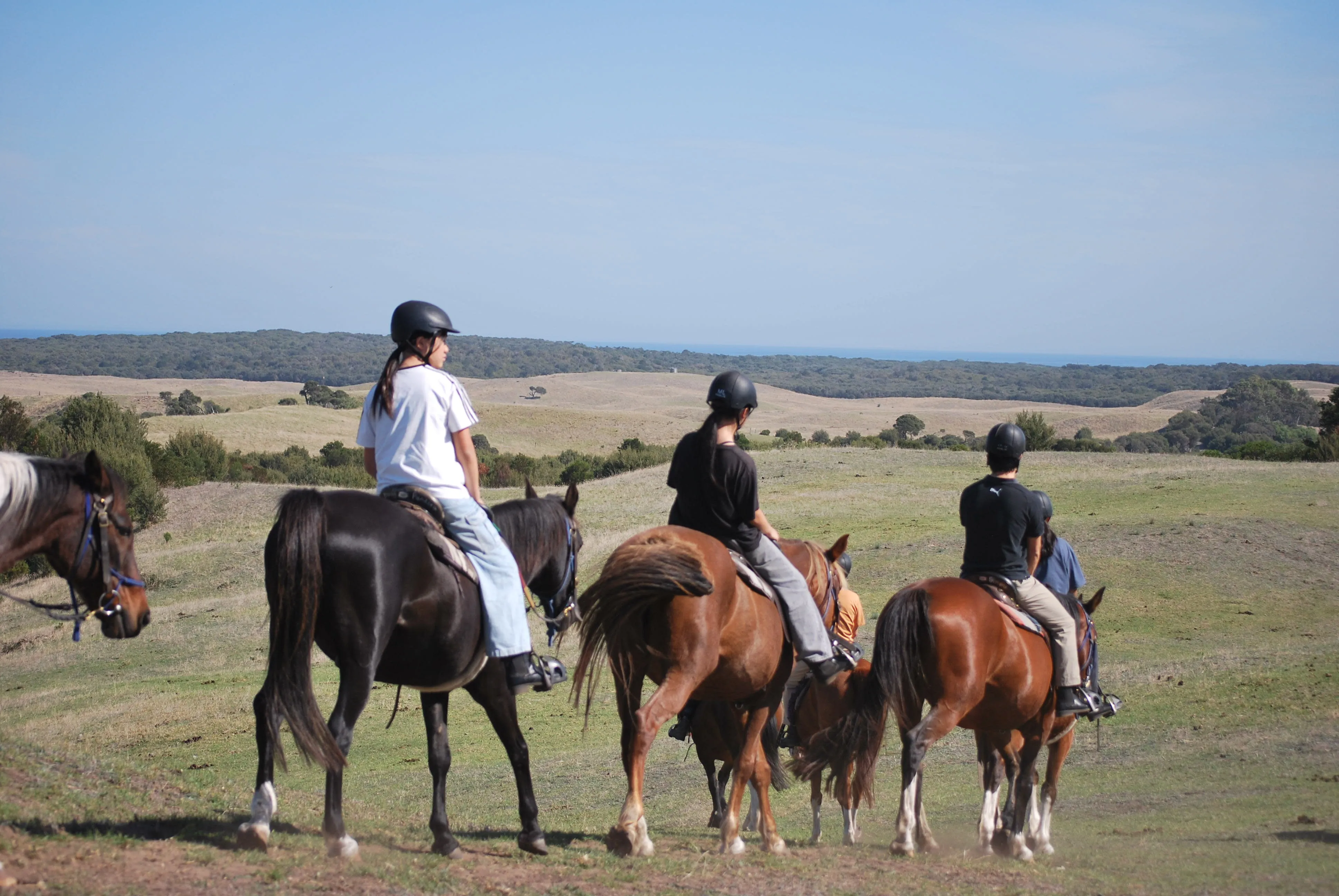 Mornington Peninsula Horse Ride & Wine Tasting | Experience Oz-3