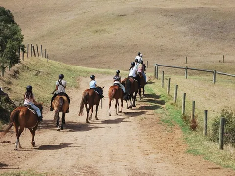 Mornington Peninsula Horseback Trail Ride & Wine Tasting  