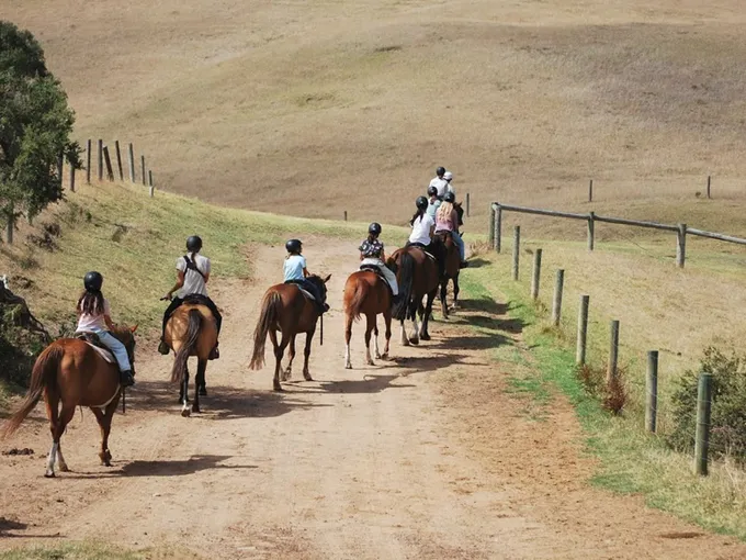 Mornington Peninsula Horse Ride & Wine Tasting | Experience Oz