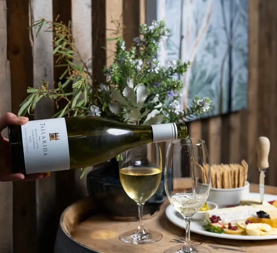Mornington Peninsula Horse Ride & Wine Tasting | Experience Oz