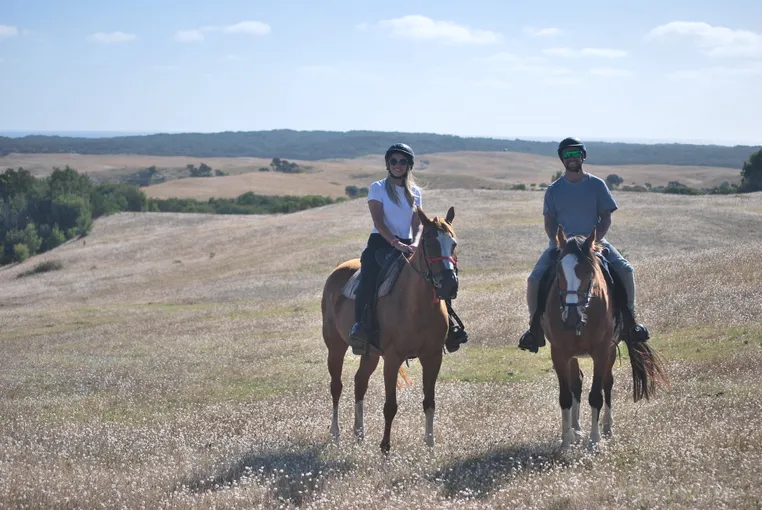 Mornington Peninsula Horse Ride & Wine Tasting | Experience Oz