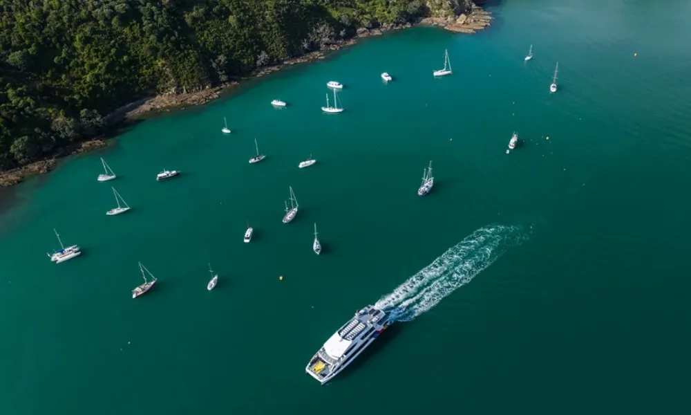 Waiheke Reserves Ferry Transfer - 40 Minutes | Experience Oz + NZ-3