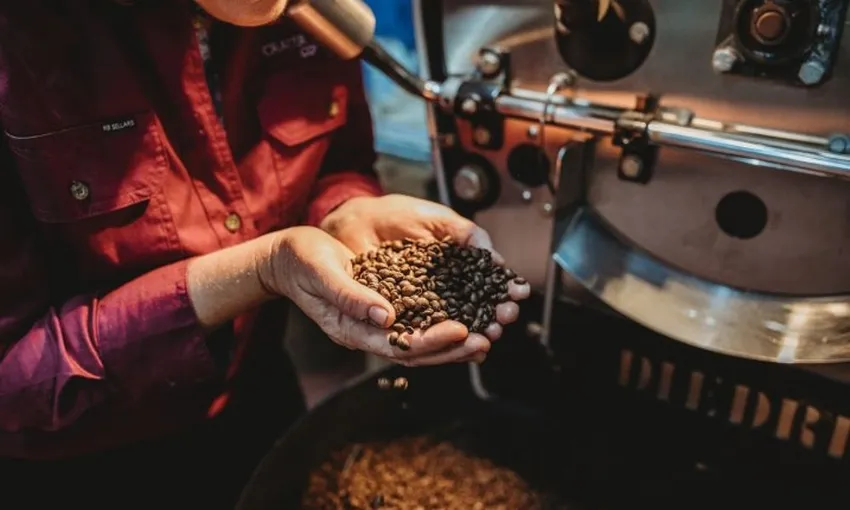 Cairns Tablelands Tasting Tour | Experience Oz