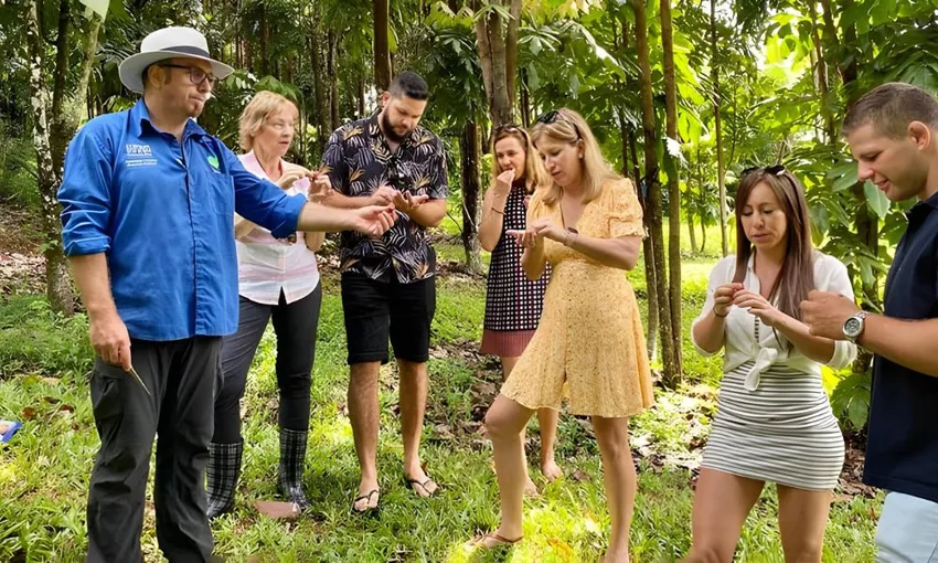 Cairns Tablelands Tasting Tour | Experience Oz