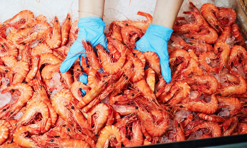 Sydney Fish Market Tour with Beverage - 1 Hour | Experience Oz