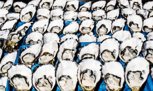 Sydney Fish Market Sunset Tour with Beverage - 1 Hour