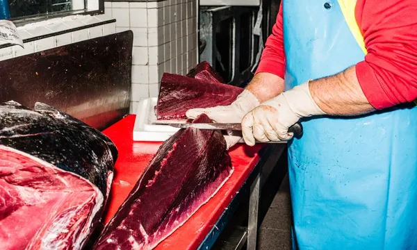 Sydney Fish Market Sunset Tour with Beverage - 1 Hour