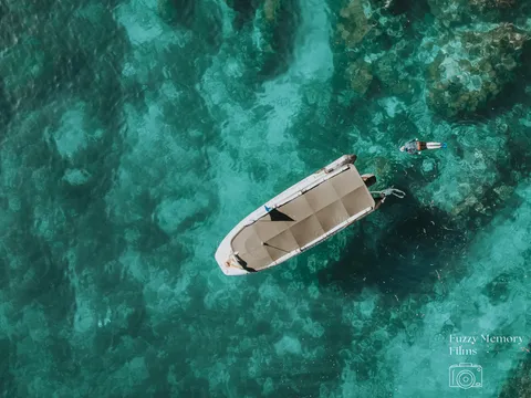 Cathedral Cove Boat Tour from Tairua - 2 Hours