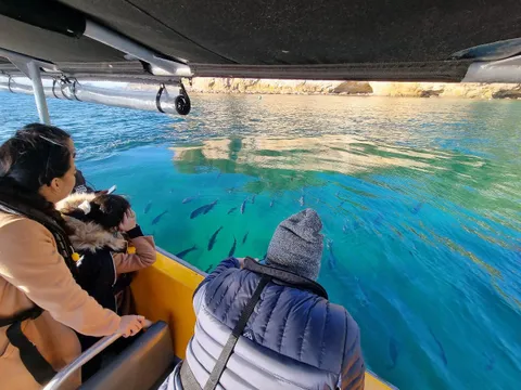 Cathedral Cove Boat Tour from Tairua - 2 Hours