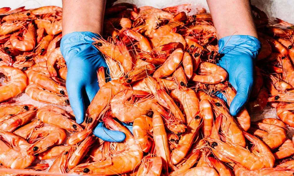 Sydney Fish Market and Auction Tour - 1 Hour | Experience Oz-3