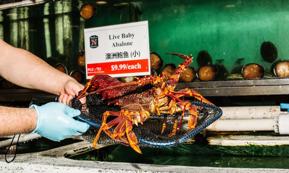 Sydney Fish Market and Auction Tour - 1 Hour | Experience Oz-5