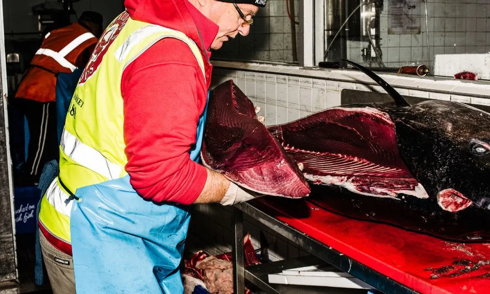 Sydney Fish Market and Auction Tour - 1 Hour | Experience Oz-7