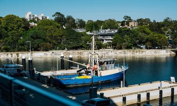 Sydney Fish Market and Auction Walking Tour - 1 Hour
