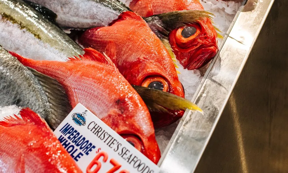 Sydney Fish Market and Auction Tour - 1 Hour | Experience Oz-5