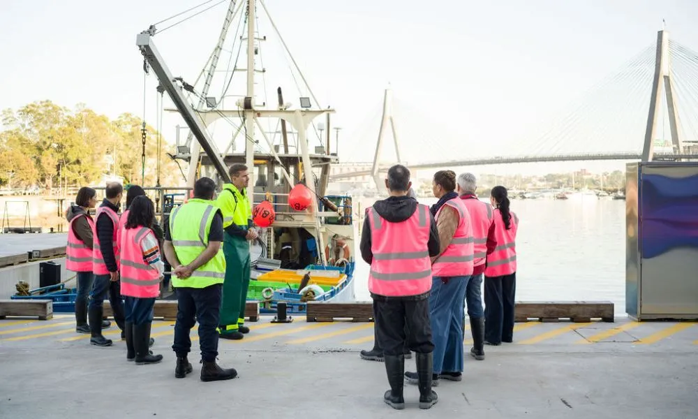 Sydney Fish Market and Auction Tour - 1 Hour | Experience Oz-6