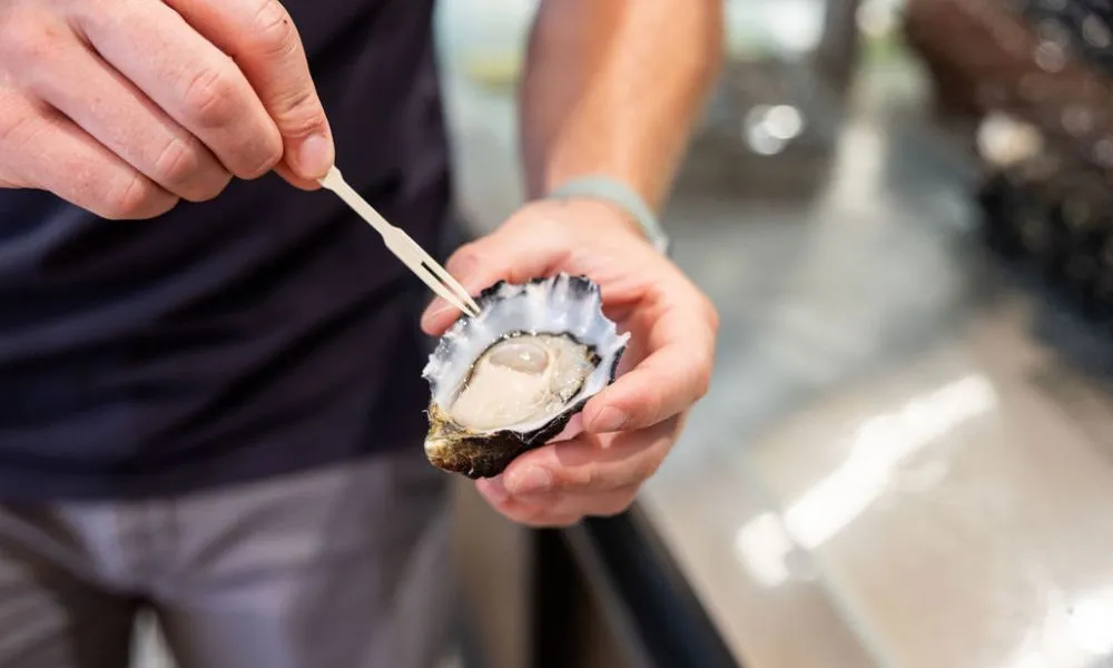 Sydney Fish Market and Auction Tour - 1 Hour | Experience Oz-7
