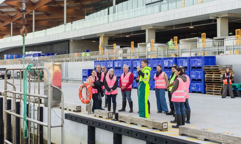 Sydney Fish Market and Auction Tour - 1 Hour | Experience Oz-8