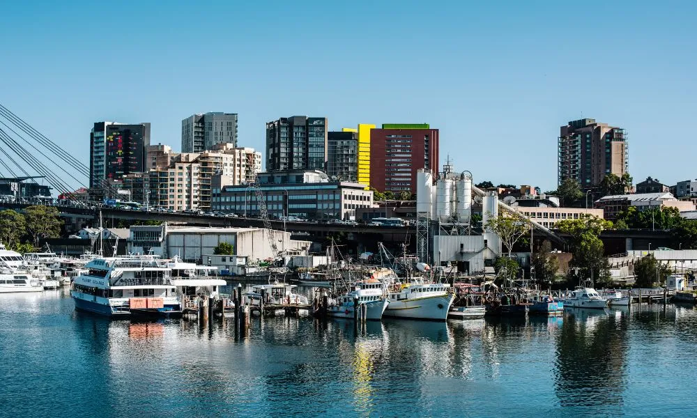 Sydney Fish Market and Auction Tour - 1 Hour | Experience Oz-10