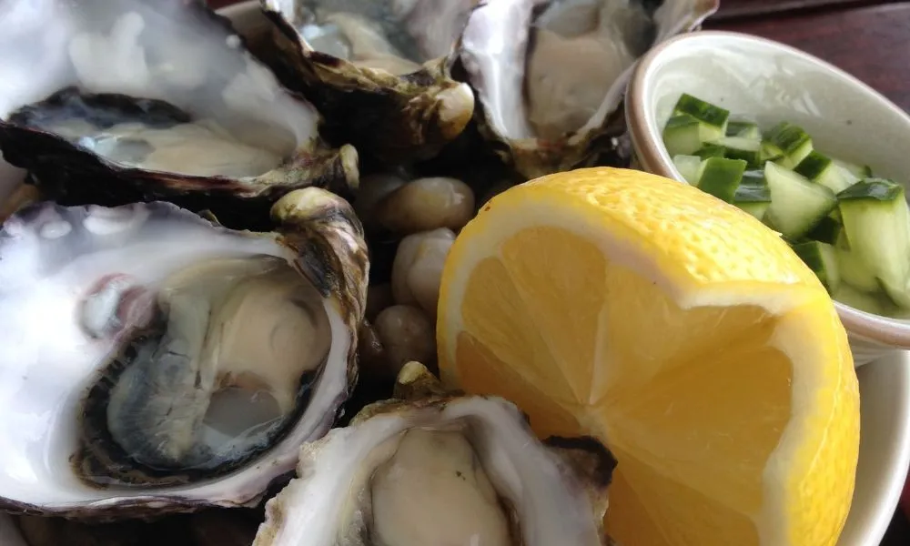 Hobart Coal Valley Wine Tour & Lunch - Full Day | Experience Oz-7