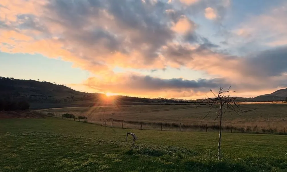 Hobart Coal Valley Wine Tour & Lunch - Full Day | Experience Oz-3