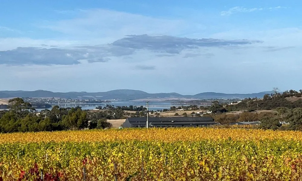 Hobart Coal Valley Cellar & Wine Tour - Half Day | Experience Oz-4