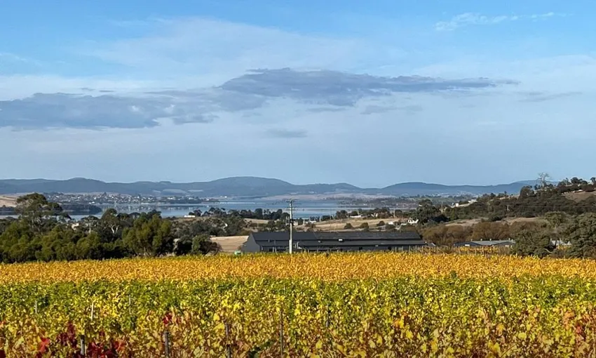 Hobart Coal Valley Cellar & Wine Tour - Half Day | Experience Oz
