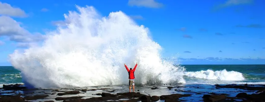 Te Anau to Dunedin Scenic Coastal Tour | Experience Oz + NZ