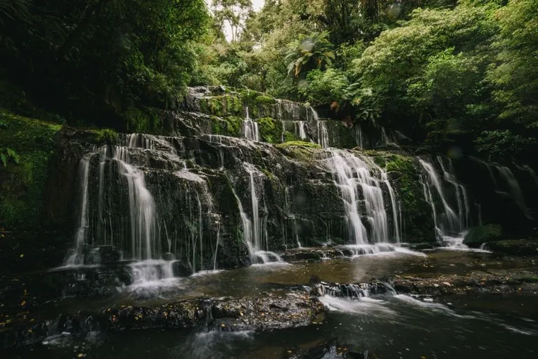 Te Anau to Dunedin Scenic Coastal Tour | Experience Oz + NZ