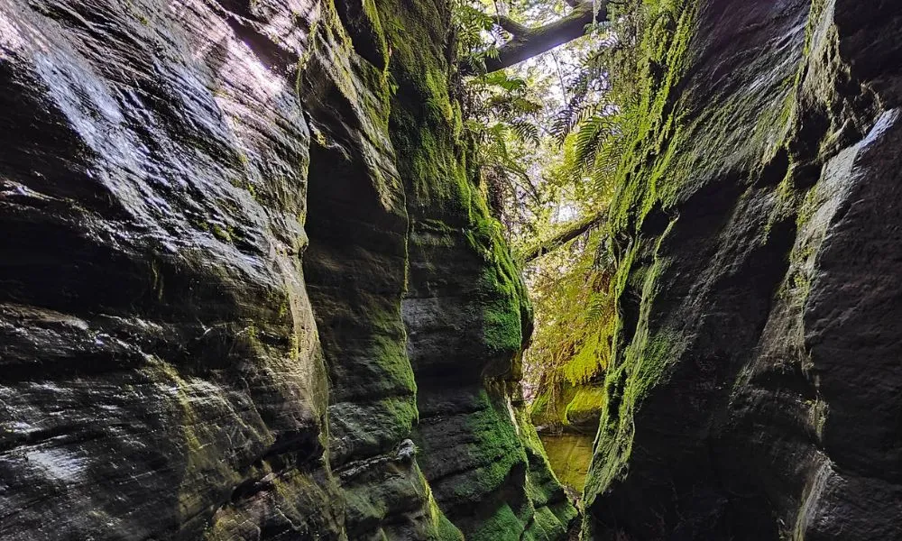 Glenorchy Paradise Canyoning Adventure - Full Day | Experience Oz + NZ-7