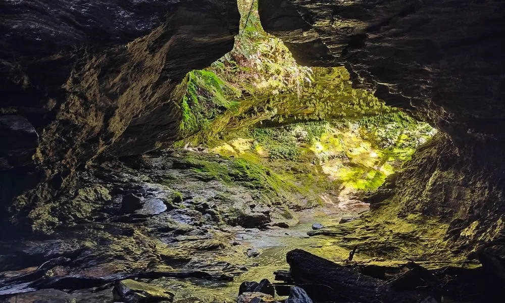 Glenorchy Paradise Canyoning Adventure - Full Day | Experience Oz + NZ-6