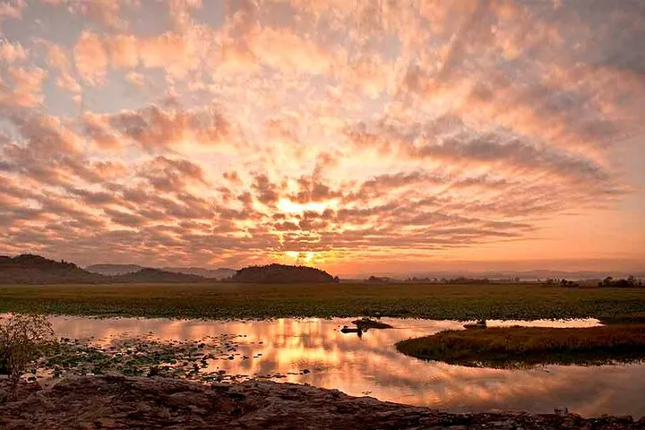 Kakadu National Park Tour from Darwin - Full Day | Experience Oz