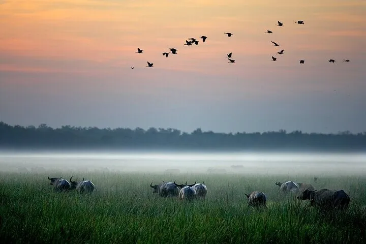 Kakadu National Park Tour from Darwin - Full Day | Experience Oz