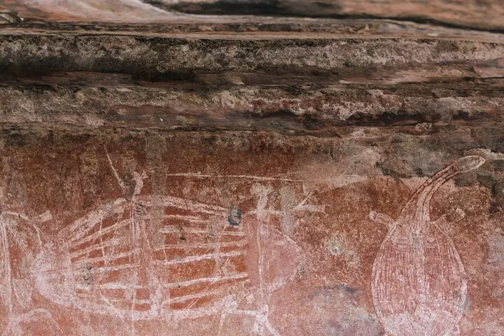 Kakadu National Park Tour from Darwin - Full Day | Experience Oz