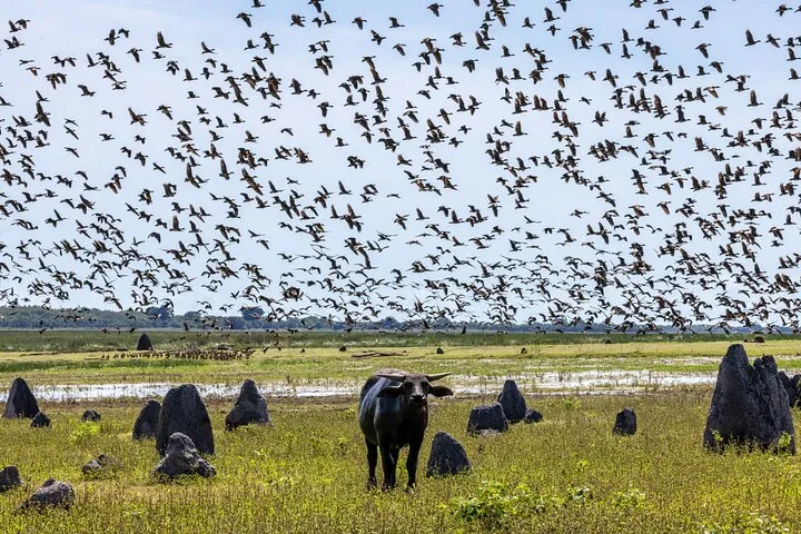 Kakadu National Park Sunset Tour from Darwin | Experience Oz-3