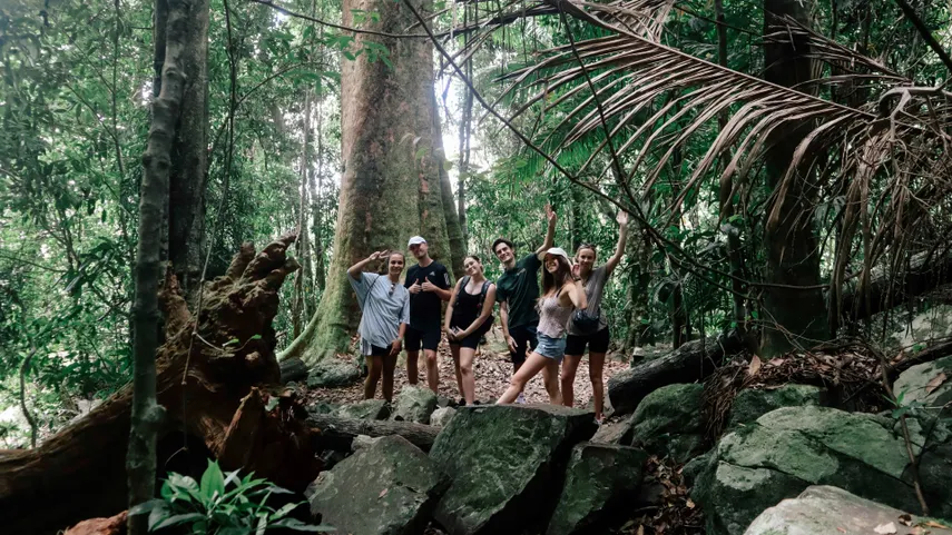 National Park Seven Waterfalls Tour, Springbrook - Full Day