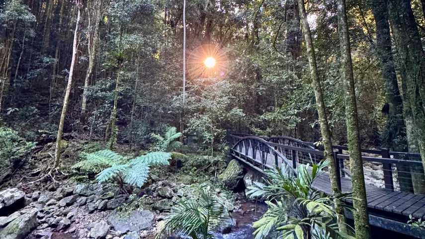 National Park Seven Waterfalls Tour, Springbrook - Full Day
