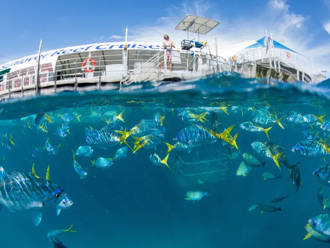Great Barrier Reef Cruise Out & Return Helicopter Flight to Cairns | Experience Oz